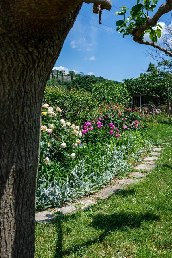 Rooms&Vinery Bregovi - Sobe In Vinska Klet Bregovi Dobravlje Luaran gambar