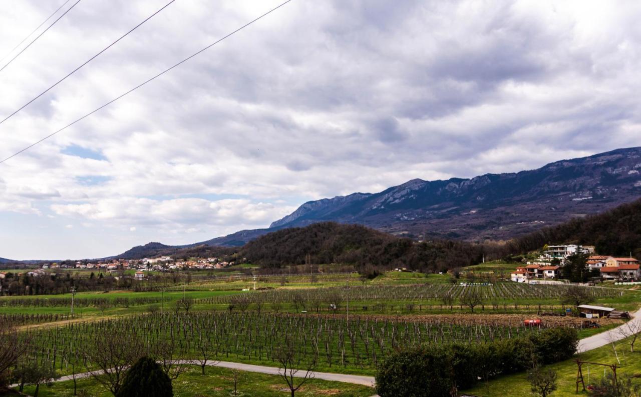 Rooms&Vinery Bregovi - Sobe In Vinska Klet Bregovi Dobravlje Luaran gambar